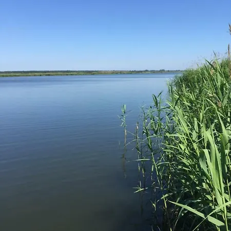 Naturparadies Mit Direktem Wasserzugang, Familien- Und Tierfreundlich Σπίτι διακοπών