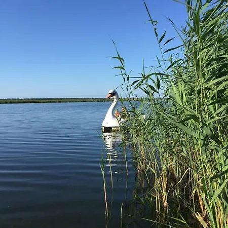 Naturparadies Mit Direktem Wasserzugang, Familien- Und Tierfreundlich Σπίτι διακοπών